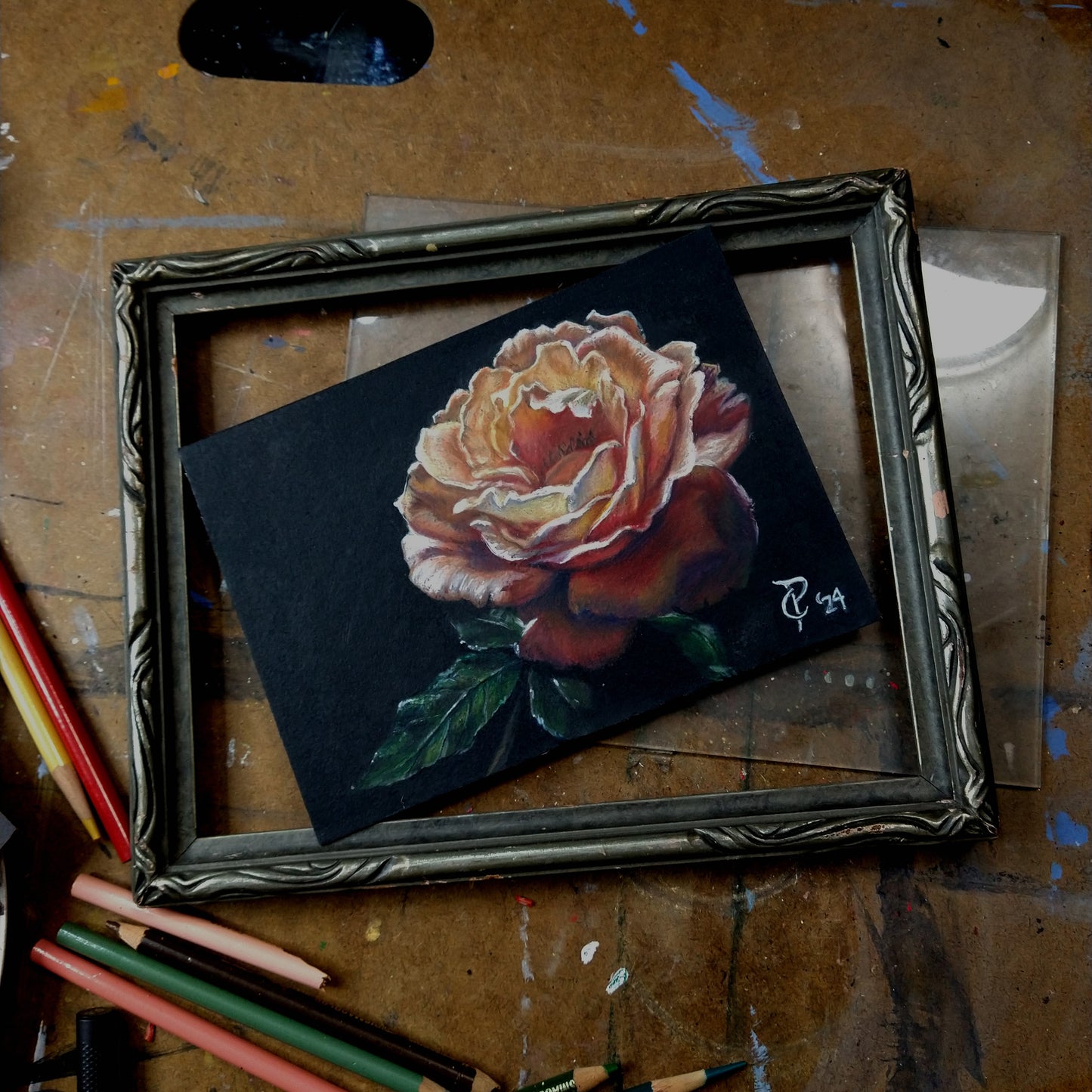 Oregon Rose Original Colored Pencil Framed Fine Art