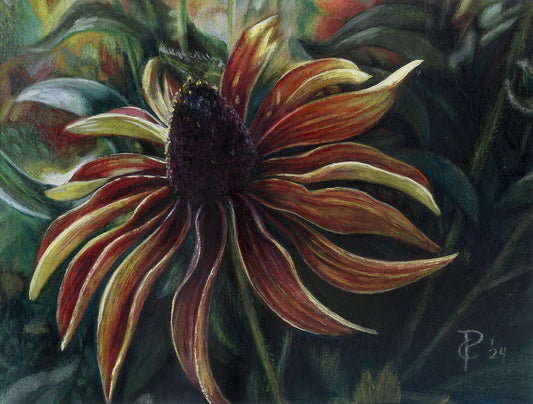 original colored pencil cone flower art