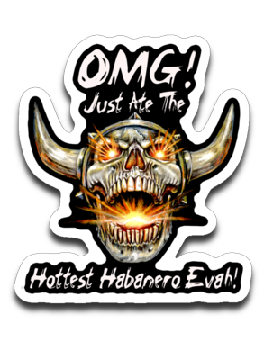 hot skull - Inlumined Arts LLC