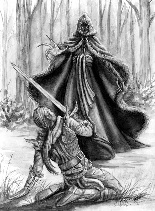 Sydonnia Defends Himself  Shadow Over Shandahar Illustration - Inlumined Arts LLC