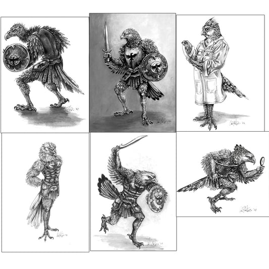Tales Of Tamoor Bird Man Warriors Sketch Portfolio  Concept Set of 6 - Inlumined Arts LLC