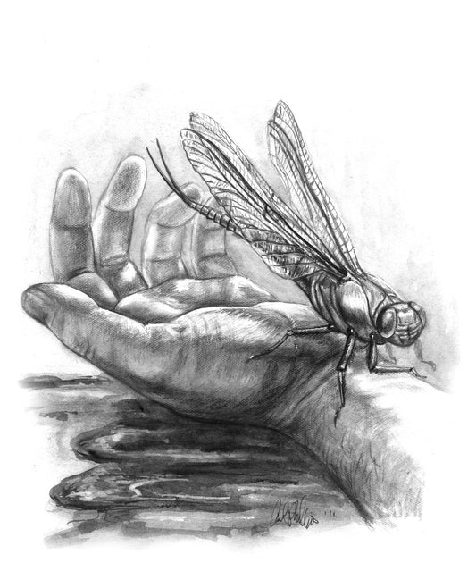 The Parafly LEAGUE OF ELDER  ILLUSTRATION - Inlumined Arts LLC