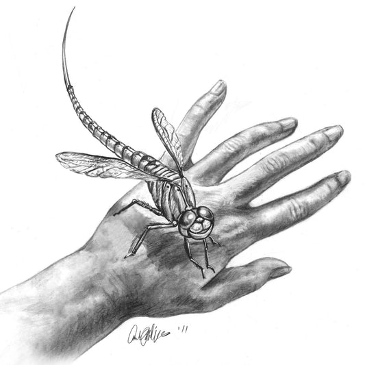 pic of artwork