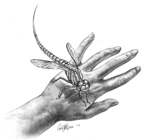 The Parafly Revealed LEAGUE OF ELDER INTERIOR ILLUSTRATION - Inlumined Arts LLC