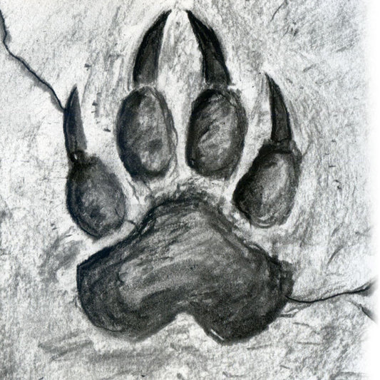 Paw Prints - ILLUSTRATION Shadow Over Shandahar - Inlumined Arts LLC