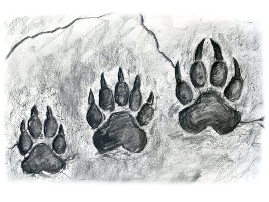 Paw Prints - ILLUSTRATION Shadow Over Shandahar - Inlumined Arts LLC