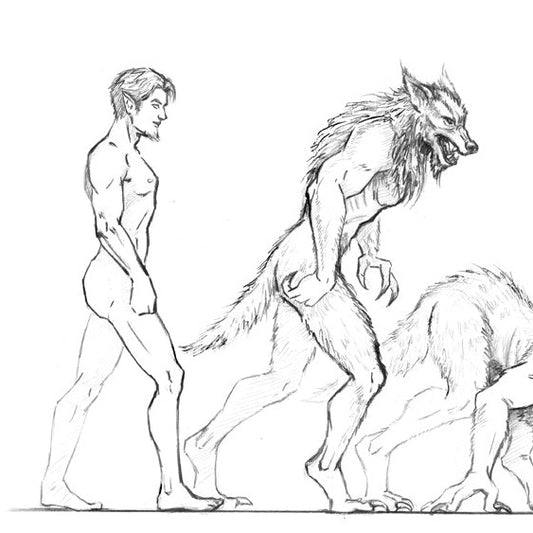 Man to Wolf Concept -  ILLUSTRATION ARTWORK Shadow Over Shandahar - Inlumined Arts LLC