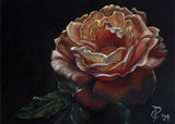 Oregon Rose  Original Colored Pencil Framed Fine Art