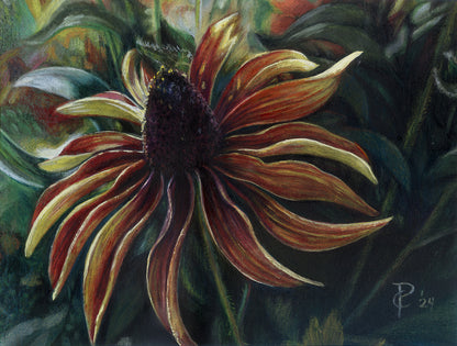 original colored pencil cone flower art