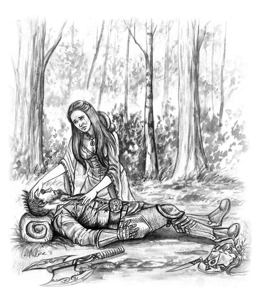 Tianna Comforts Bussi Shadow Over Shandahar Illustration - Inlumined Arts LLC