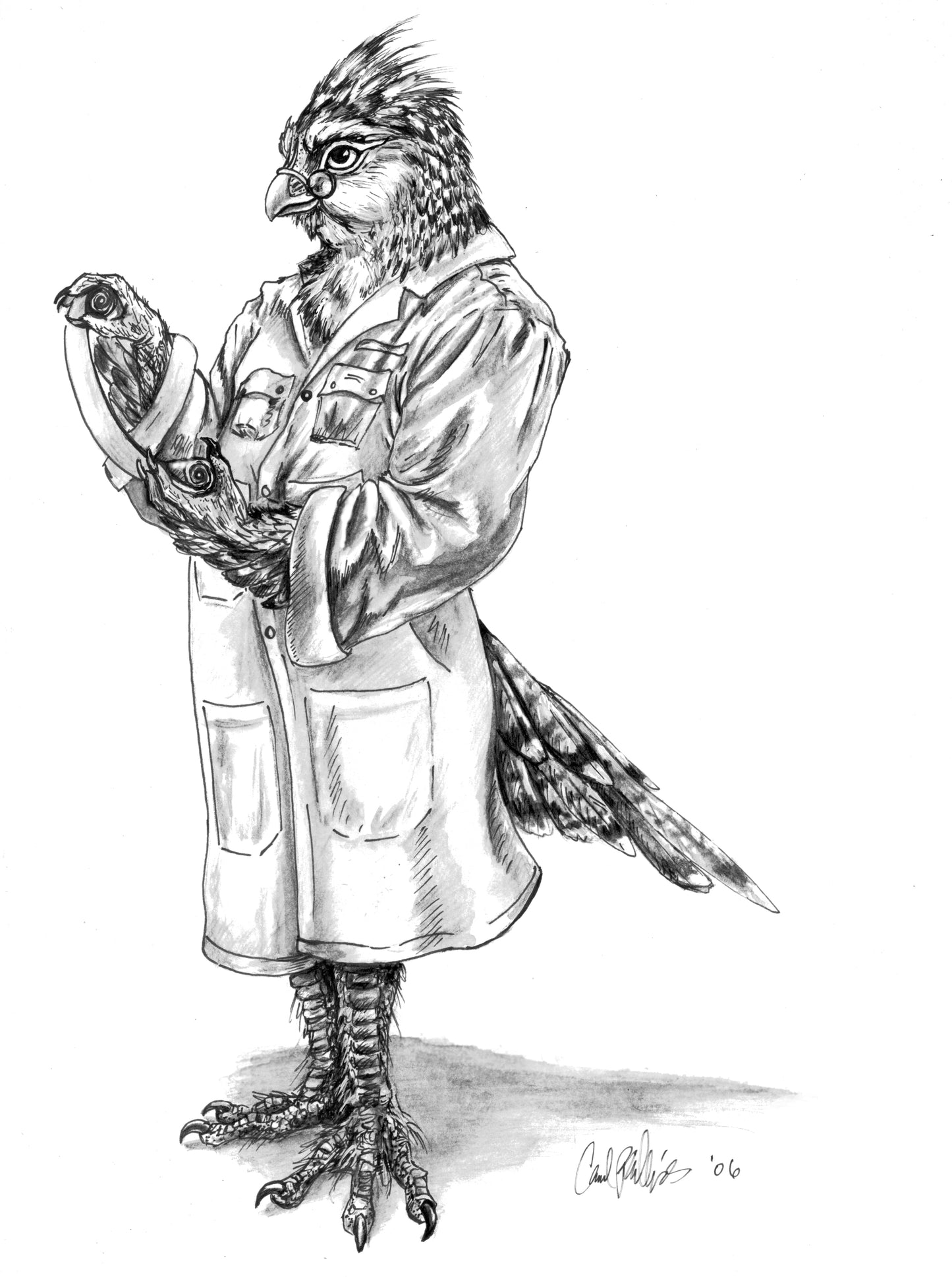 Tales Of Tamoor Bird Man Warriors Sketch Portfolio  Concept Set of 6 - Inlumined Arts LLC