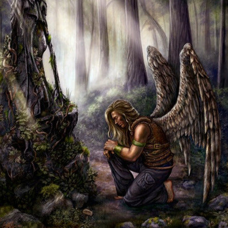 "Plenarius" Limited Edition Print